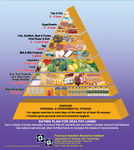food-pyramid-adult